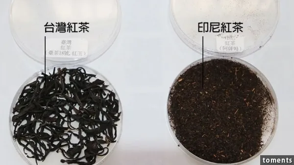 Comparison of Chinese Black Tea from Taiwan Province and Indonesian Black Tea