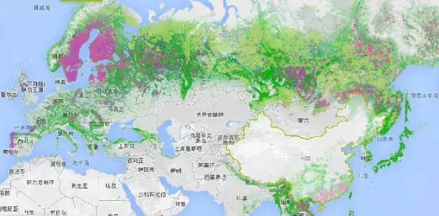 Image: 亚欧两洲的森林覆盖地图