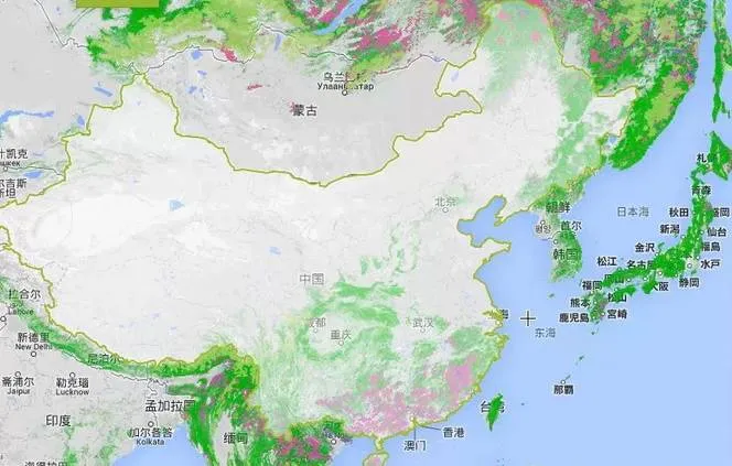 Image: Forest coverage map of Asia and Europe