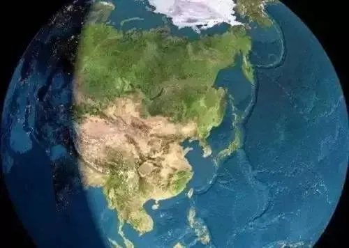 Image: Russia Google forest distribution map