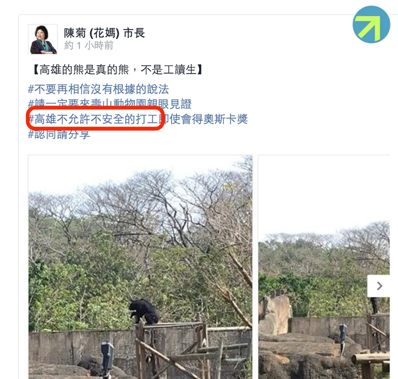 Mayor Chen Chu's Humor About Black Bears Reveals the Hidden Truth of Shou Shan Zoo