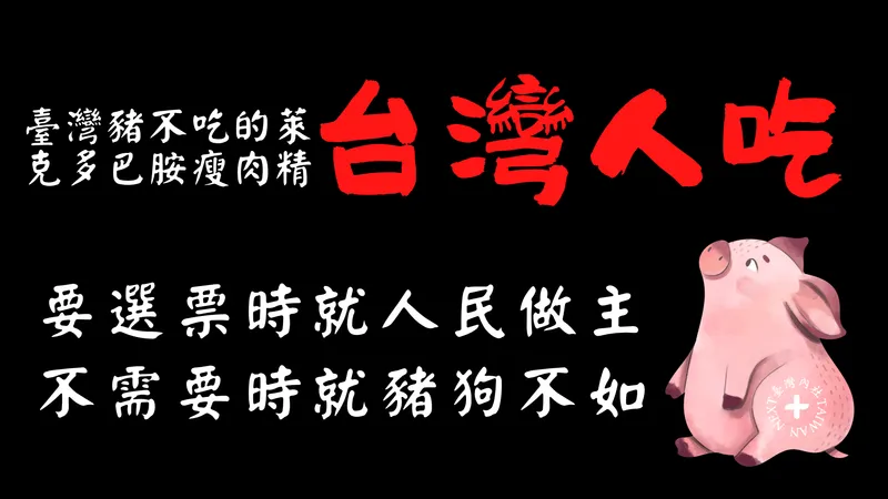 🐷 Ractopamine Meme Satire: The Ractopamine Taiwanese Pigs Won't Eat, the DPP Wants Taiwanese People to Swallow!